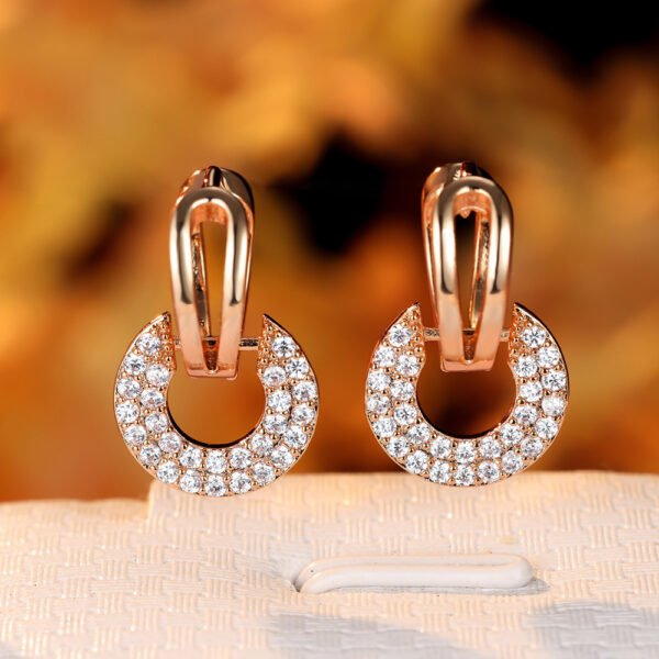 Fashion Earrings