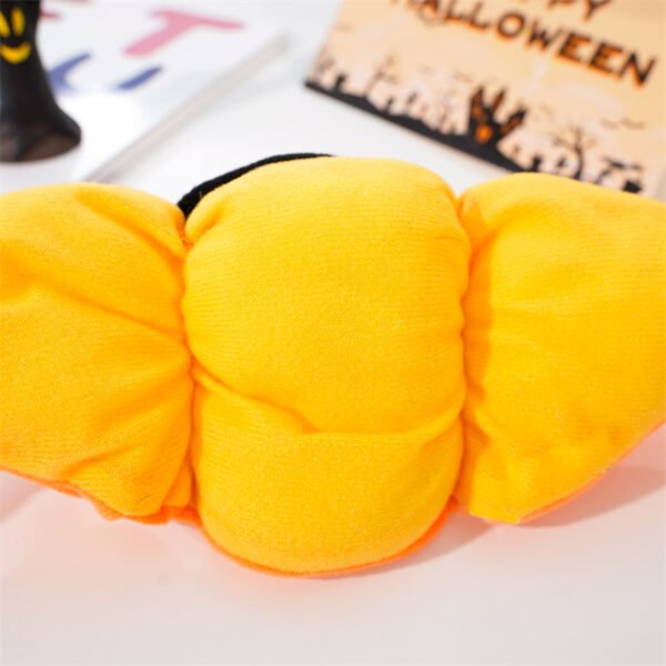 Halloween Pet Costume