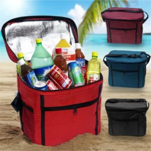 Insulated Picnic Bag