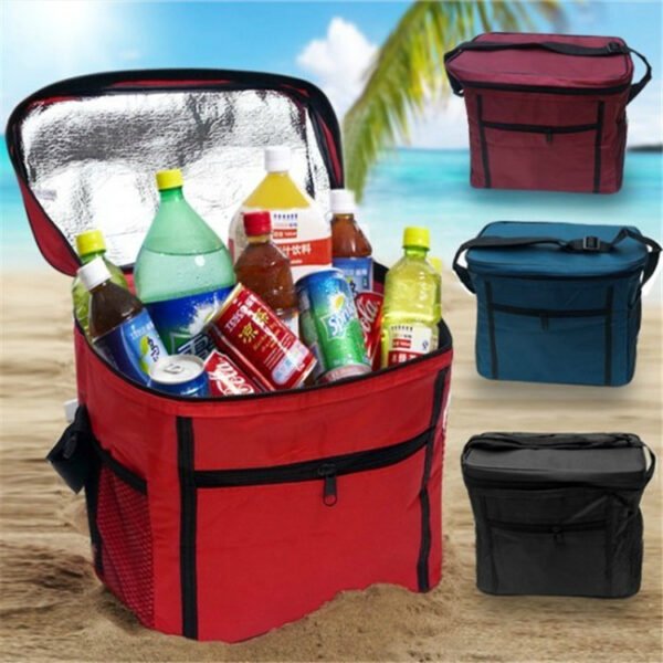 Insulated Picnic Bag