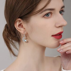 Moonstone Hollow Earrings