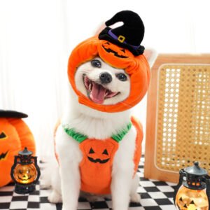 Halloween Pet Costume