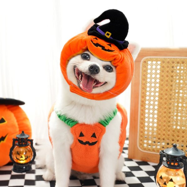 Halloween Pet Costume