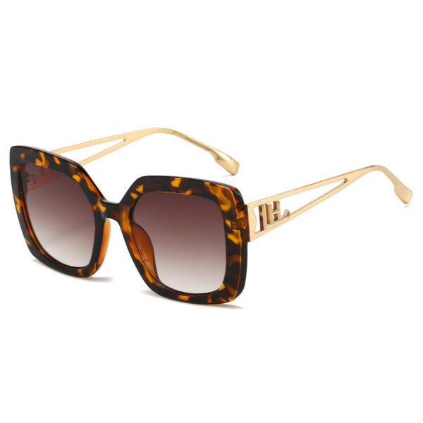 Fashion Sunglasses Women's Personality Square Sunglasses - Image 5