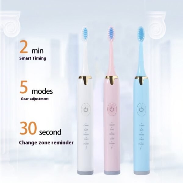 Rechargeable Electric Toothbrush