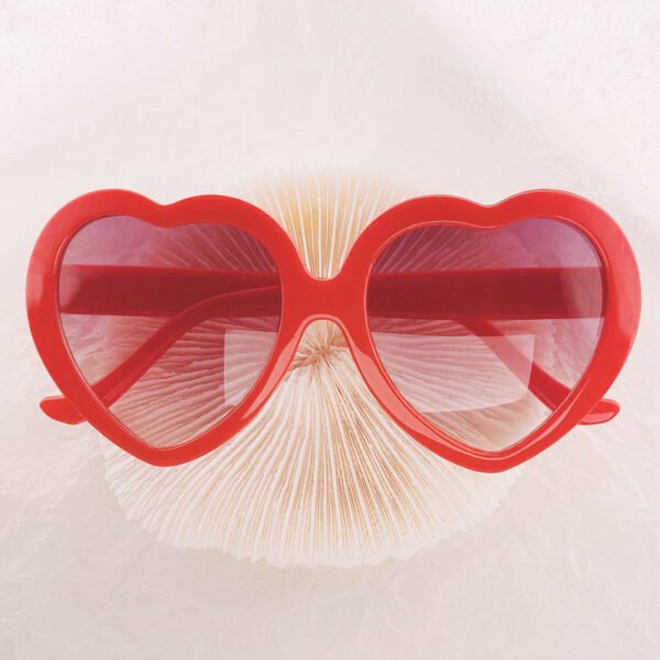 Kids Sunglasses Sunglasses SUNFLOWER Glasses - Image 5