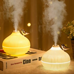 USB Spray Humidifier