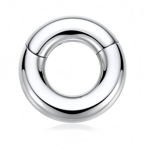 Stainless Steel Closed Lip Ring Piercing - Image 5