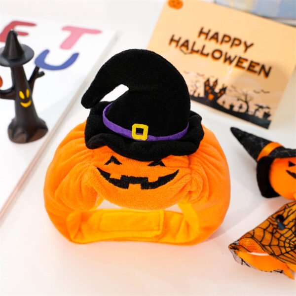 Halloween Pet Costume