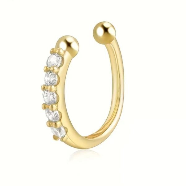 Nose Ring