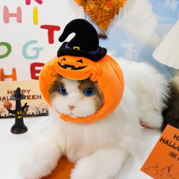 Halloween Pet Costume