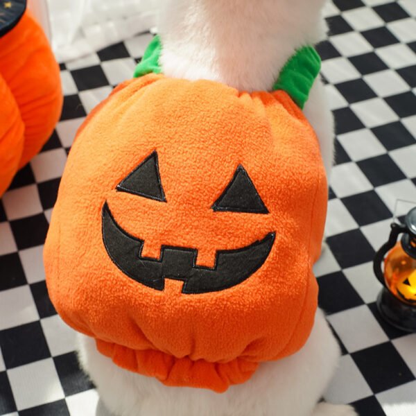Halloween Pet Costume