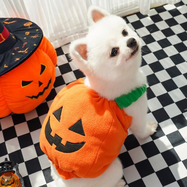 Halloween Pet Costume