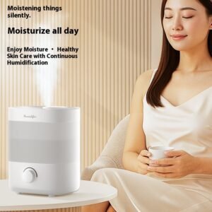 Cross-border New Arrival 2L Large Capacity Fog Double Spout Humidifier Usb Household Mute Night Light Air Atomizing Hydrating