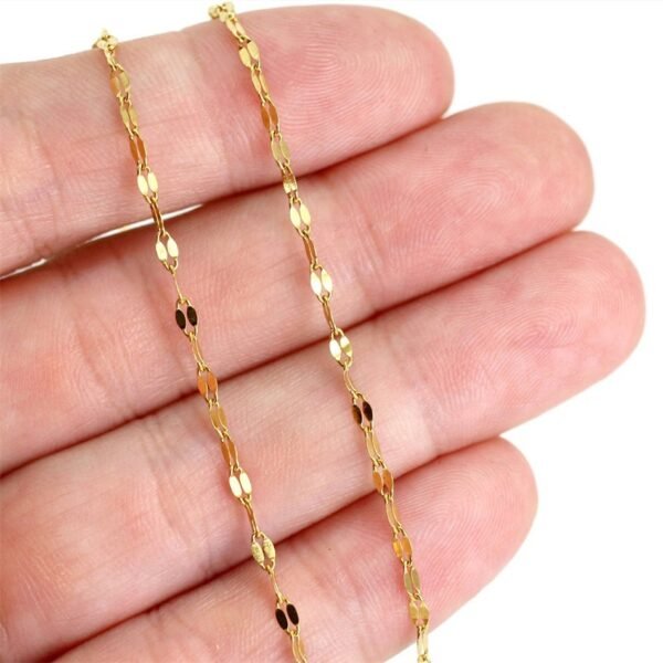 Simple Gold Plated Stainless Steel Anklets Lip Chain Anklet - Image 3