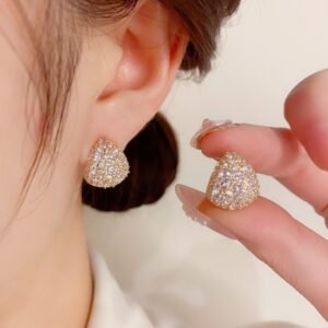 Zircon Drop Earrings
